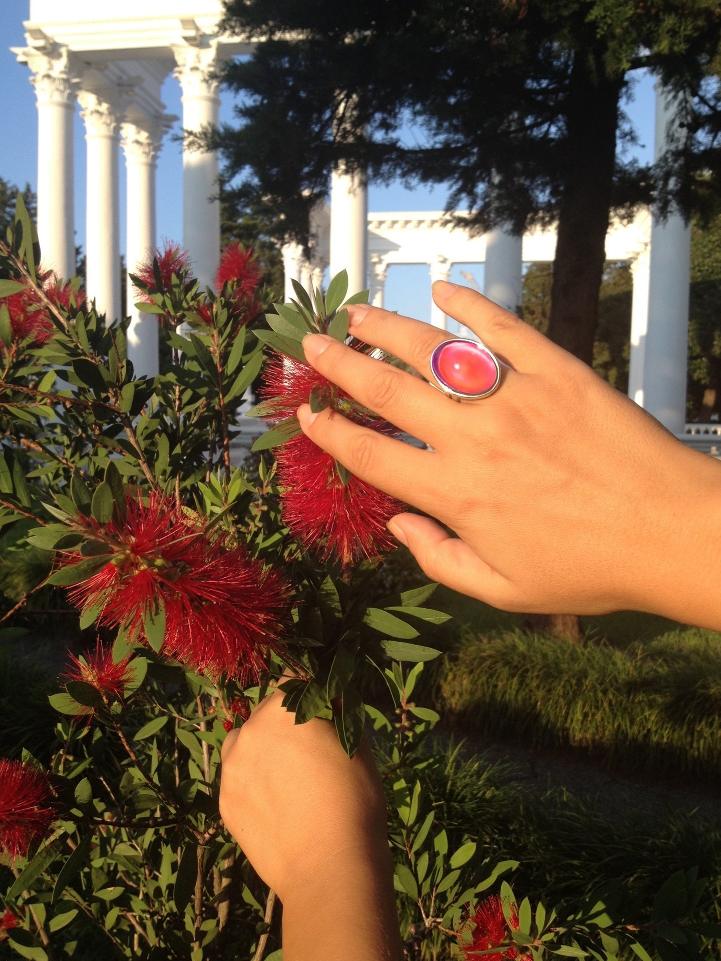 Silver Fountain of Youth - Mood Ring - 25x18 mm - Sterling Silver 925