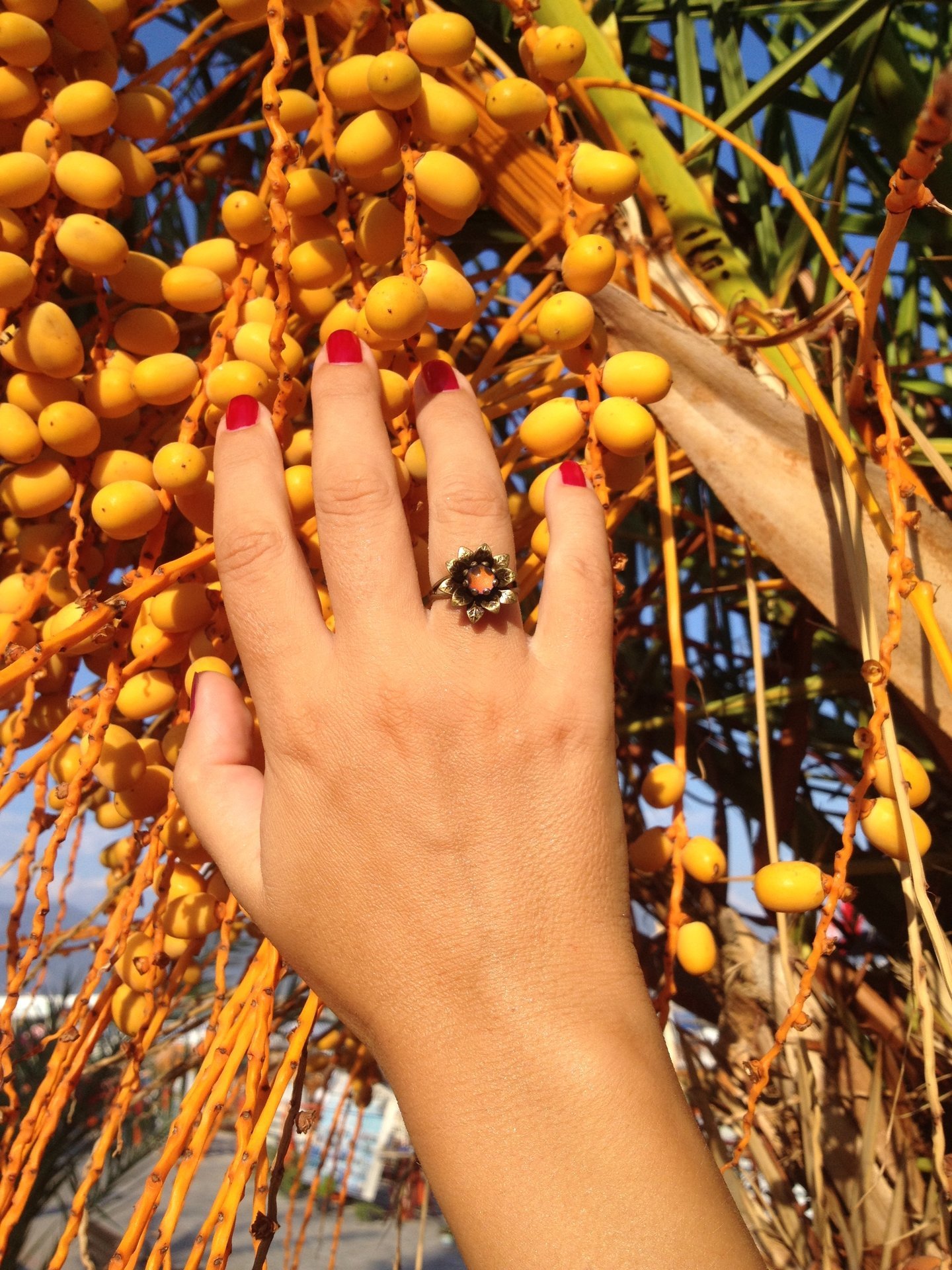Secret Princess of the Flower Kingdom - Mood Ring - Adjustable - 6 mm - Brass