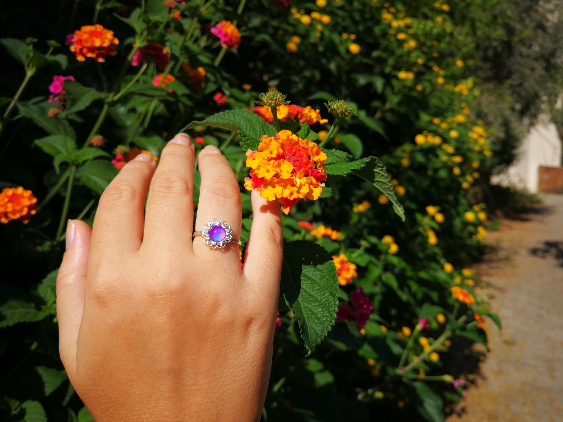 Princess of Blossoms - Mood Ring - 6 mm - Sterling Silver 925