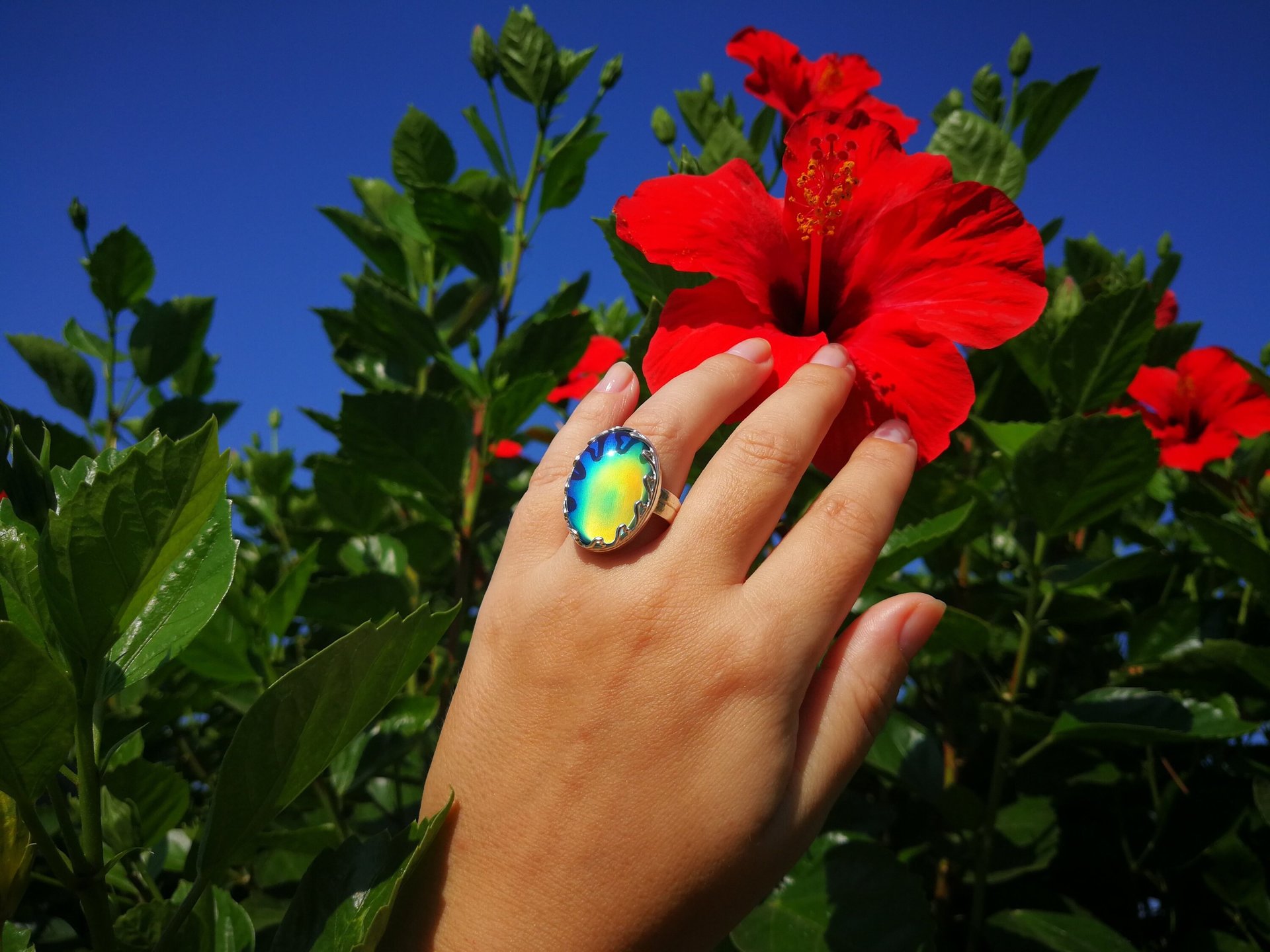 Queen of Hearts - Mood Ring - 25x18 mm - Sterling Silver 925